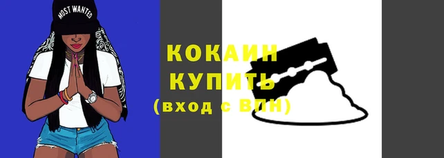 стаф Бронницы