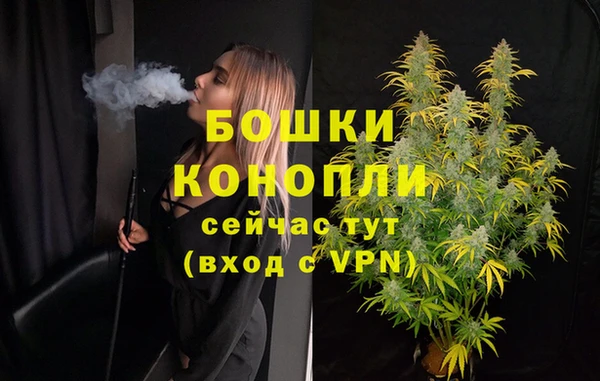 стаф Бородино