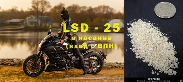 ГАЛЛЮЦИНОГЕННЫЕ ГРИБЫ Богородицк