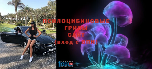 ГАЛЛЮЦИНОГЕННЫЕ ГРИБЫ Богородицк