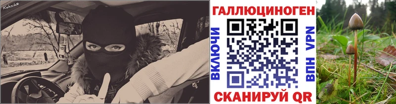 где найти   Кузнецк  Псилоцибиновые грибы мухоморы 