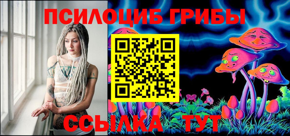 Псилоцибиновые грибы MAGIC MUSHROOMS Кузнецк