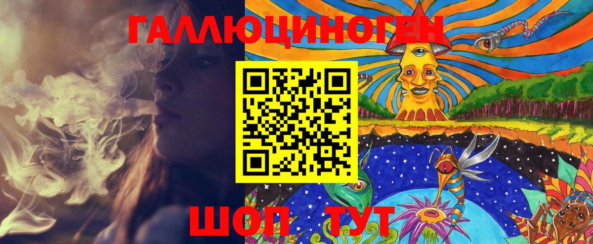 дарнет шоп  Вход с VPN  Кузнецк  Псилоцибиновые грибы Psilocybe 