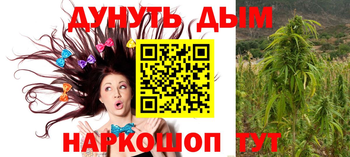 Бошки Шишки семена Кузнецк